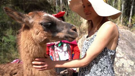 Cusco Connection with Nature Alpaca Experience