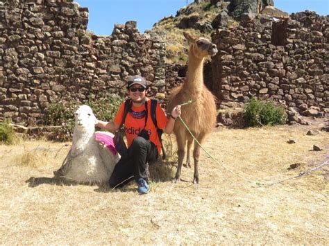 Cusco Llama Trekking: An Expert Review and Guide