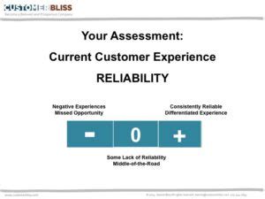 Customer Bliss Assurance