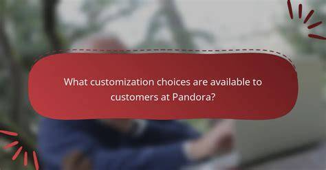 Customization Choices