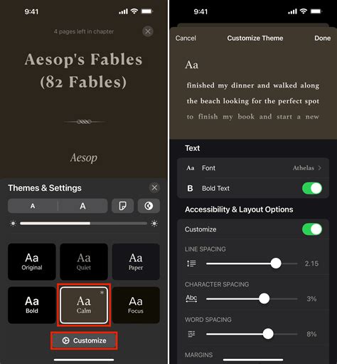 Customize Apple Books Themes &amp; Settings