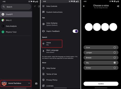 Customize the Voice in the ChatGPT App