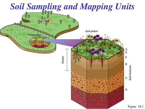 Customized Soil Sampling and Mapping