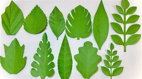Cut Out Paper Leaves