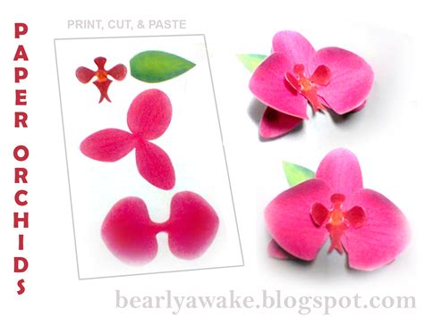 Cut Out Paper Orchid Template