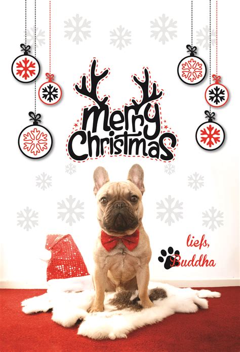 Cute French Bulldog Christmas Cards