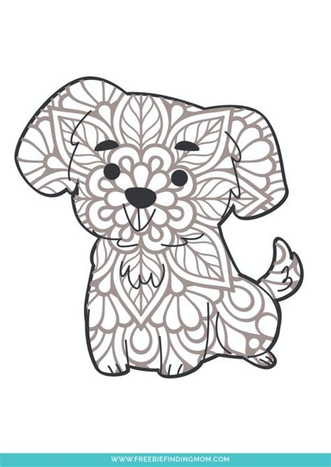 Cute Animals Coloring Pages For Adults