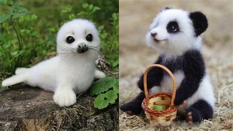 Cute Animals Compilation