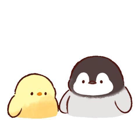 Cute Animals Gif Png