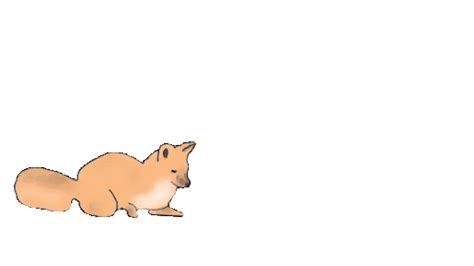 Cute Animals Gif Transparent