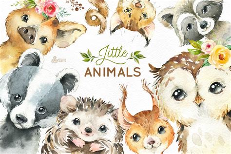 Download Cute Animals Watercolor Collection Cut Files