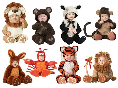 Cute Baby Animals In Costumes