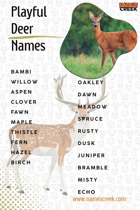 Cute Baby Deer Names