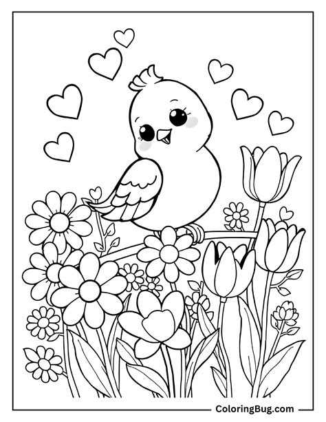 Cute Bird Coloring Pages