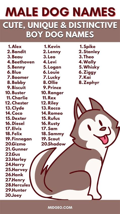 Cute Boy Dog Names