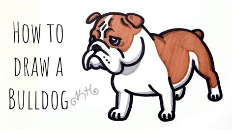 Bulldog clipart baby bulldog, Bulldog baby bulldog Transparent FREE for