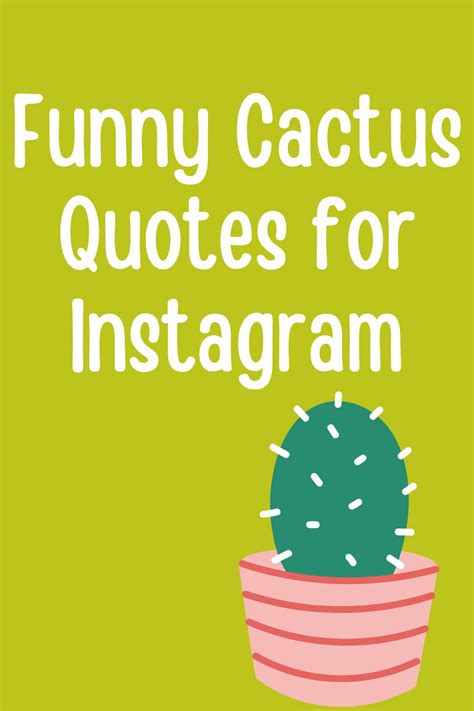 Cute Cactus Quotes