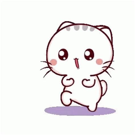 Cute Cat Pictures GIFs