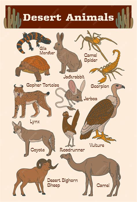 Cute Desert Animals List
