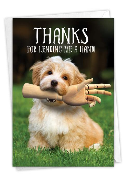 Cute Dog Thank You