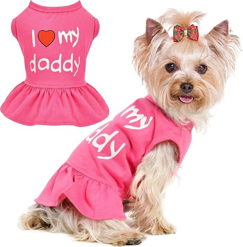 Cute Dogs In Clothes