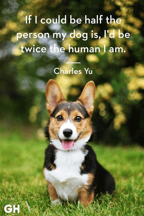 Cute Dogs Quotes
