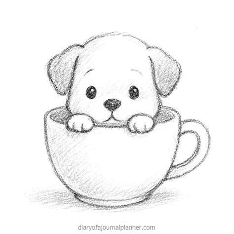 Cute Dogs Tegninger