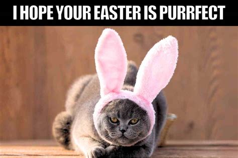 Cute Easter Meme