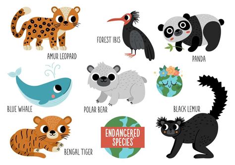 Cute Endangered Animals Drawings