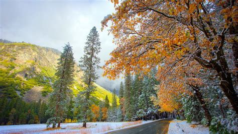 Cute Fallwinter Wallpapers