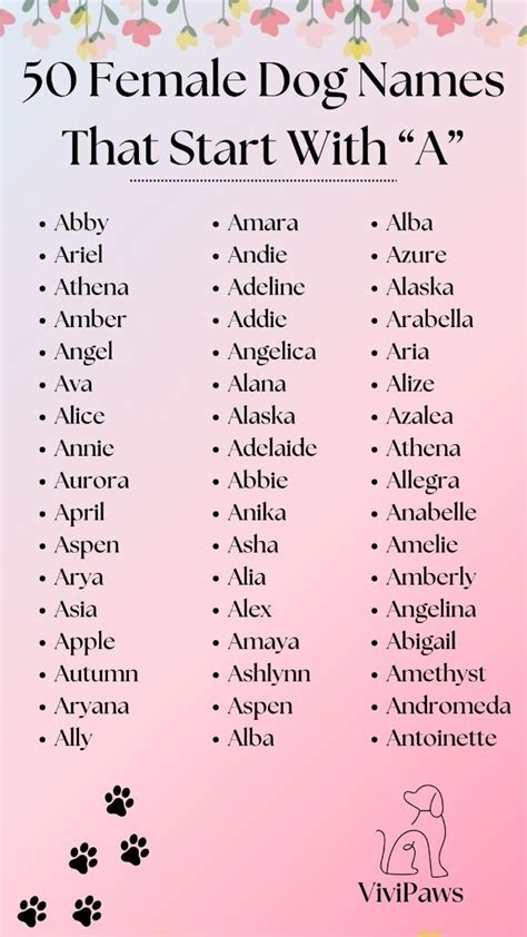 Cute Female Dog Names That Start With D