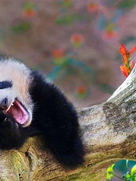 Cute Funny Pictures