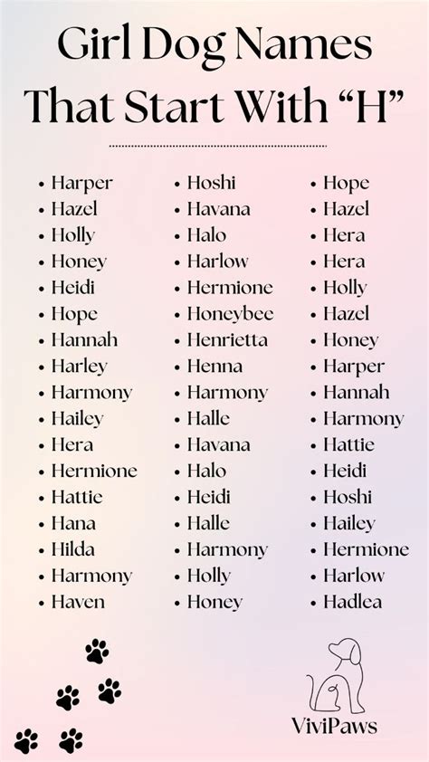 Cute Girl Dog Names That Start With H