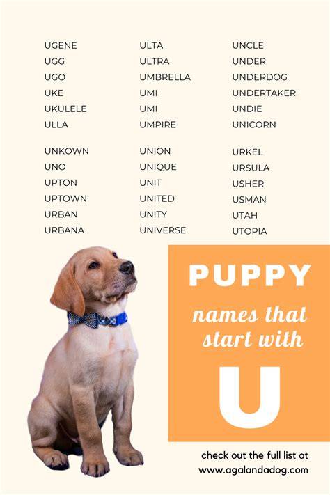 Cute Girl Dog Names That Start With U