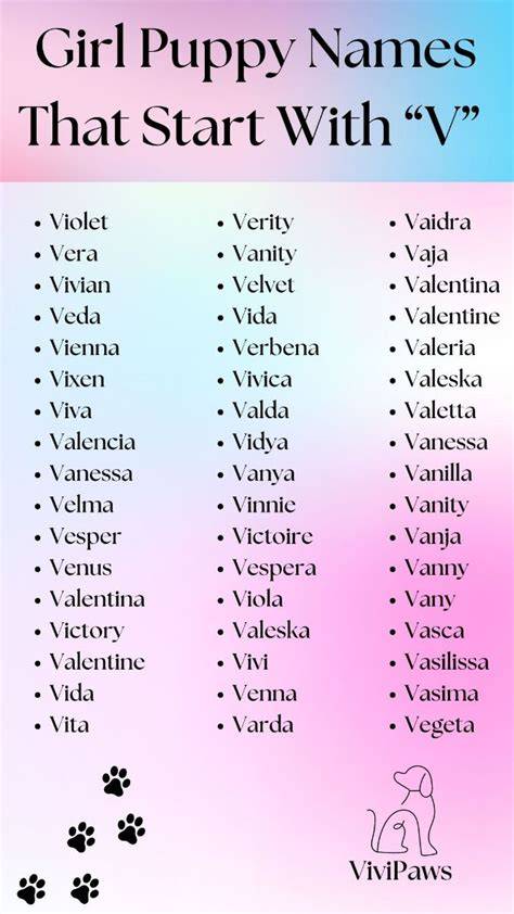 Cute Girl Dog Names That Start With V