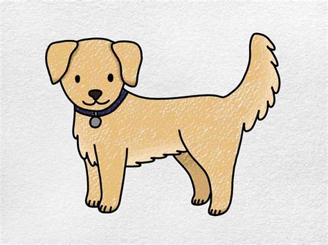 Cute Easy Golden Retriever Pencil Drawing l2sanpiero