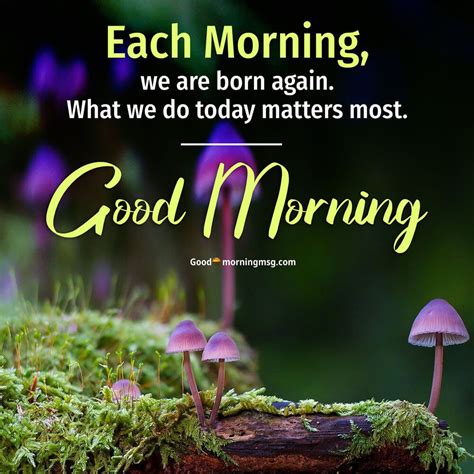 Cute Good Morning Quotes