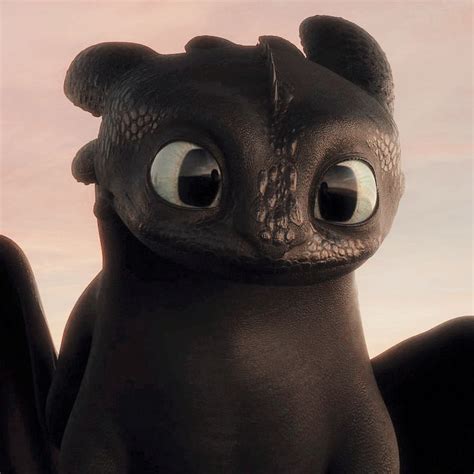 Cute Guide: How to Train Your Dragon's Beloved Toothless