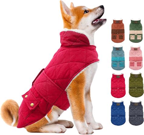 Cute Jackets For Dogs