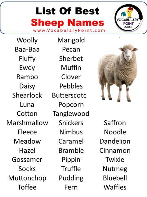 Cute Names For Girl Sheep