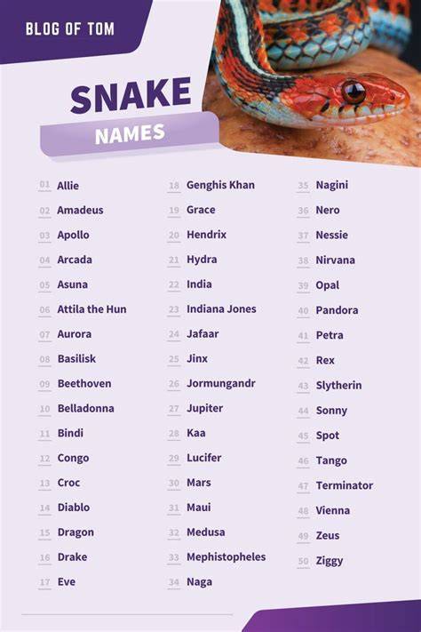 Cute Names For Girl Snake