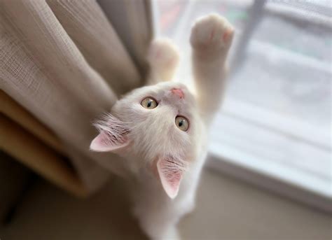 Cute Pictures Jpg