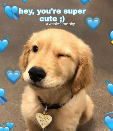 Cute Pictures Memes