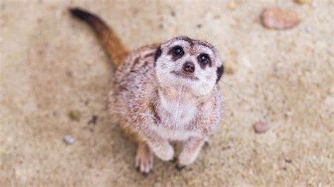 Cute Pictures Real Life