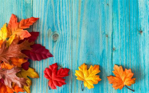 Cute Pretty Fall Wallpapers
