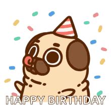 Birthday Pug by Plamada Corina Dribbble Dribbble Birthday pug