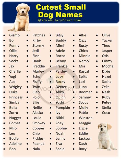 Cute Puppy Dog Names