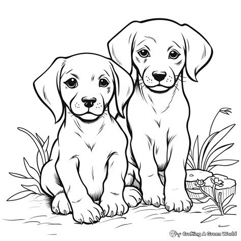 Cute Puppy Lab Coloring Pages