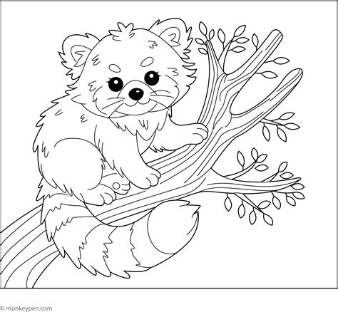 Cute Red Panda Coloring Pages
