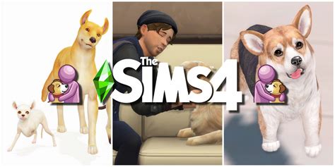 Cute Sims 4 Dogs